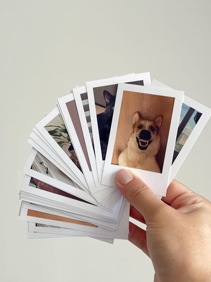 Polaroids